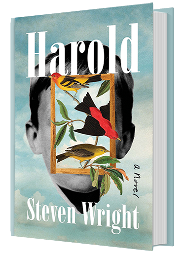 Harold: A Novel by Steven Wright